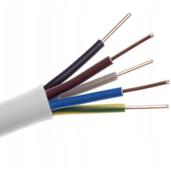 Kabel YDY 5x2,5 DAMIR 1m