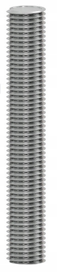 17247085809